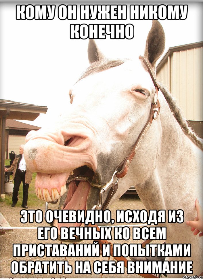 кому он нужен никому конечно это очевидно, исходя из его вечных ко всем приставаний и попытками обратить на себя внимание