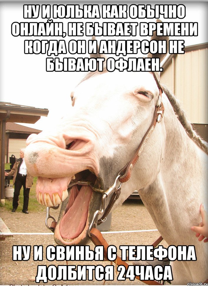 ну и юлька как обычно онлайн, не бывает времени когда он и андерсон не бывают офлаен. ну и свинья с телефона долбится 24часа