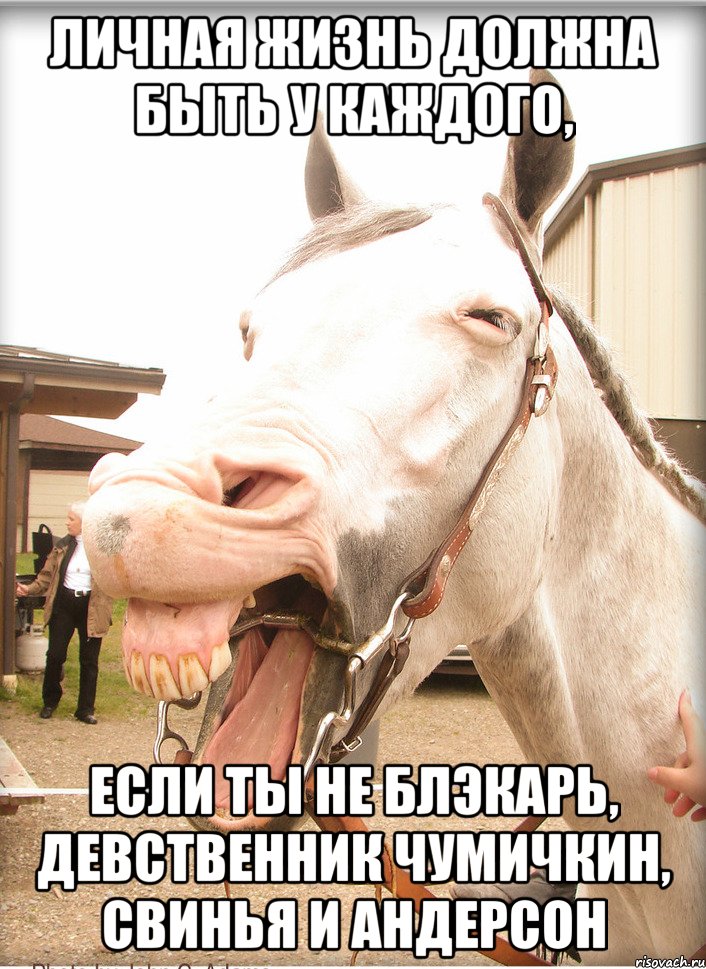 личная жизнь должна быть у каждого, если ты не блэкарь, девственник чумичкин, свинья и андерсон