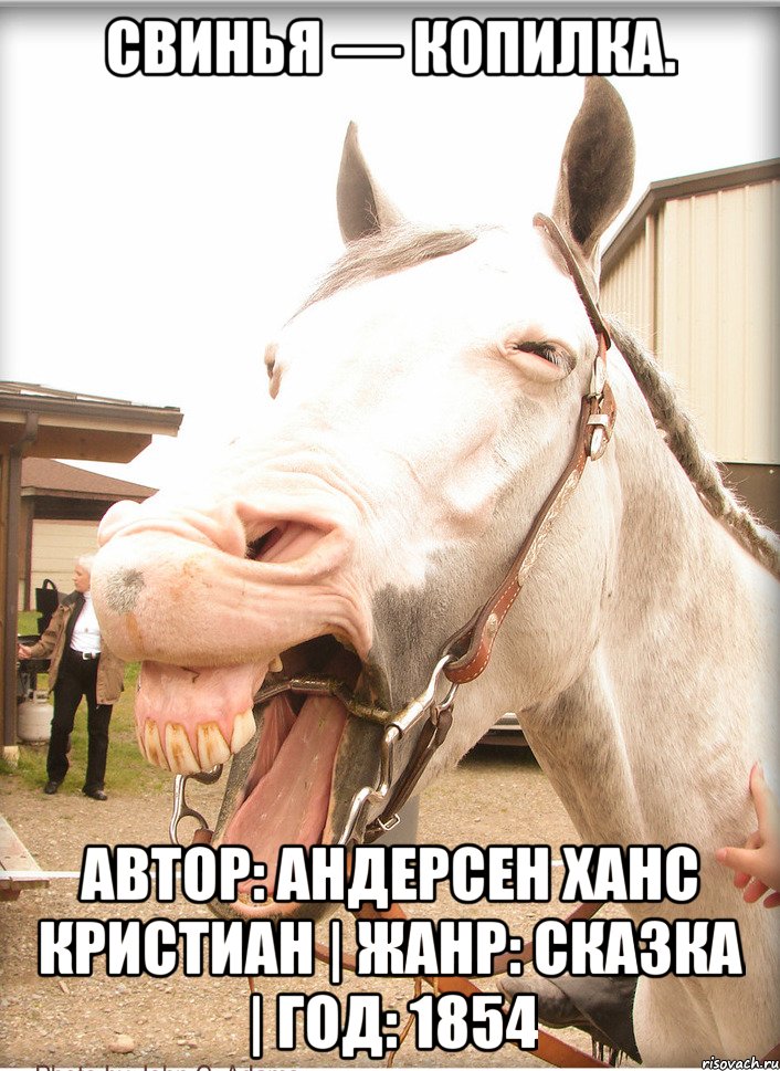 Свинья — копилка. Автор: Андерсен Ханс Кристиан | Жанр: Сказка | Год: 1854