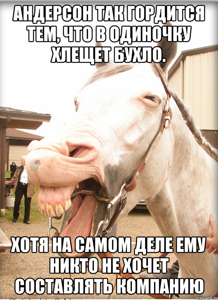 андерсон так гордится тем, что в одиночку хлещет бухло. хотя на самом деле ему никто не хочет составлять компанию