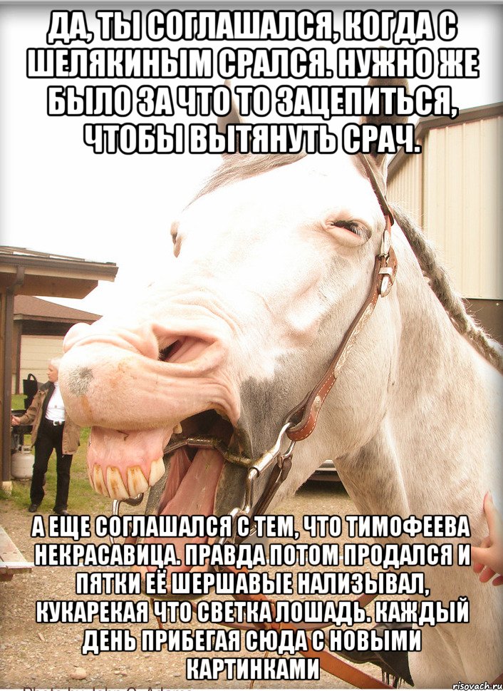 да, ты соглашался, когда с шелякиным срался. нужно же было за что то зацепиться, чтобы вытянуть срач. а еще соглашался с тем, что тимофеева некрасавица. правда потом продался и пятки её шершавые нализывал, кукарекая что светка лошадь. каждый день прибегая сюда с новыми картинками
