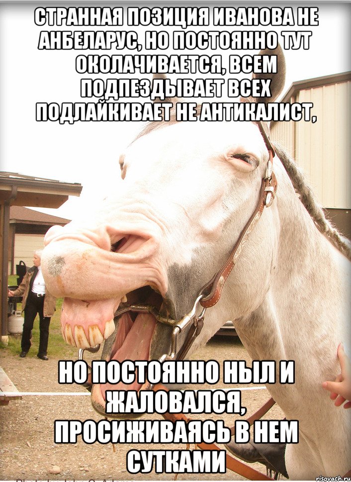 странная позиция иванова не анбеларус, но постоянно тут околачивается, всем подпездывает всех подлайкивает не антикалист, но постоянно ныл и жаловался, просиживаясь в нем сутками