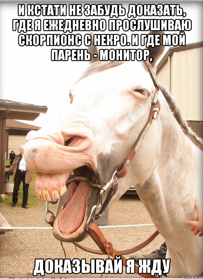 и кстати не забудь доказать, где я ежедневно прослушиваю скорпионс с некро. и где мой парень - монитор, доказывай я жду