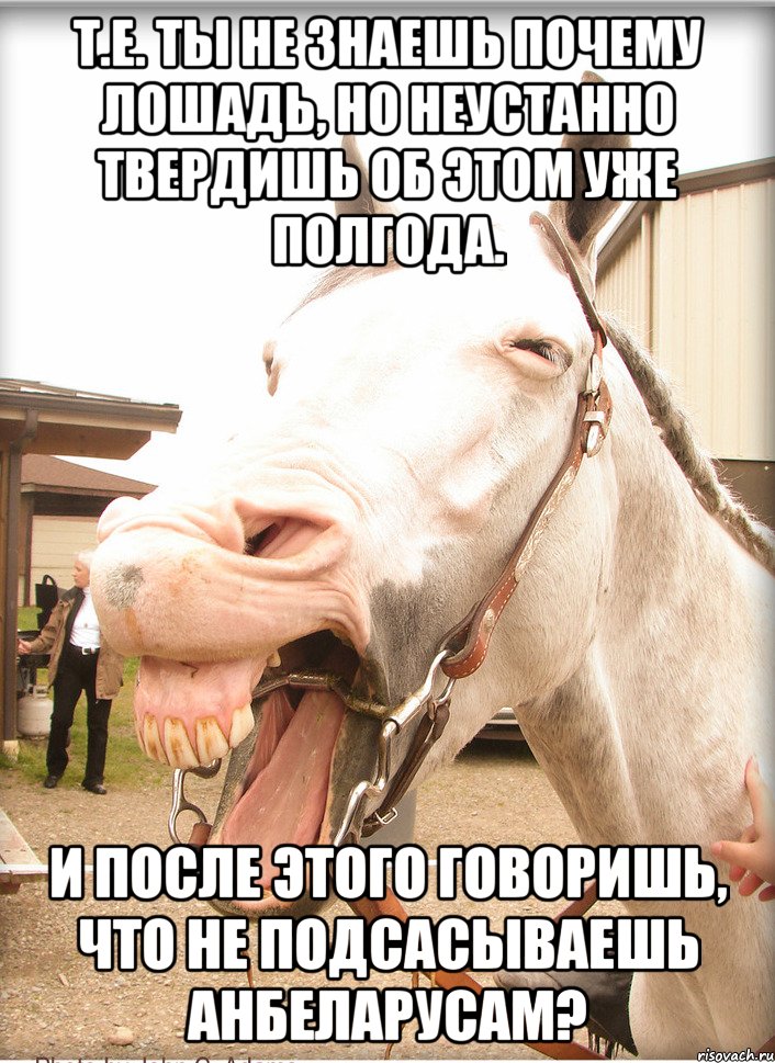 т.е. ты не знаешь почему лошадь, но неустанно твердишь об этом уже полгода. и после этого говоришь, что не подсасываешь анбеларусам?