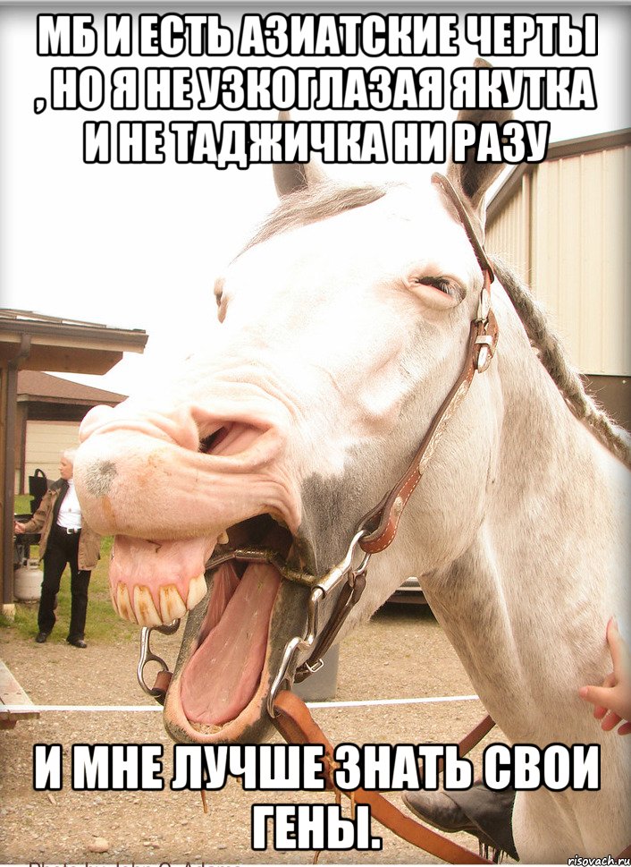 мб и есть азиатские черты , но я не узкоглазая якутка и не таджичка ни разу и мне лучше знать свои гены.