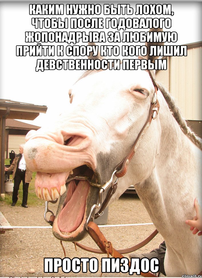 каким нужно быть лохом, чтобы после годовалого жопонадрыва за любимую прийти к спору кто кого лишил девственности первым просто пиздос