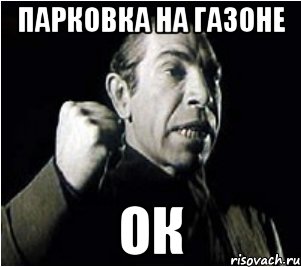 ПАРКОВКА НА ГАЗОНЕ ОК