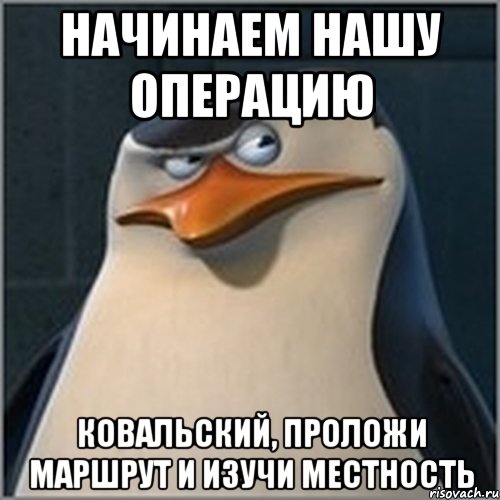 начинаем нашу операцию ковальский, проложи маршрут и изучи местность