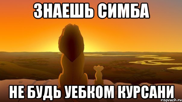 знаешь симба не будь уебком курсани, Мем Симба