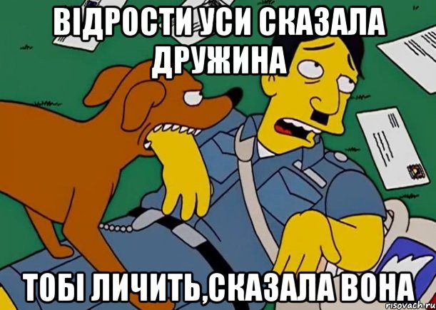відрости уси сказала дружина тобі личить,сказала вона, Мем симпсоны