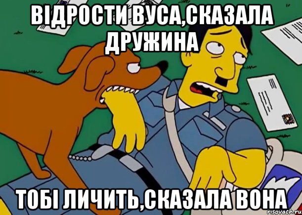 відрости вуса,сказала дружина тобі личить,сказала вона, Мем симпсоны