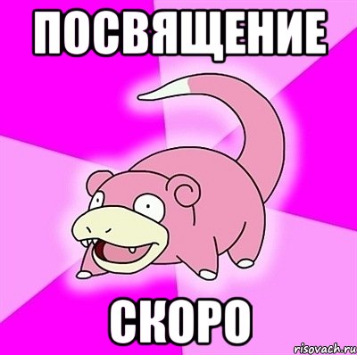 посвящение скоро, Мем слоупок