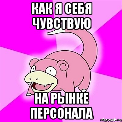 как я себя чувствую на рынке персонала, Мем слоупок