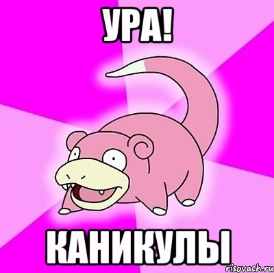 ура! каникулы, Мем слоупок