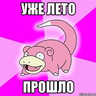 уже лето прошло, Мем слоупок