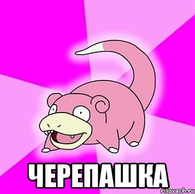  черепашка, Мем слоупок