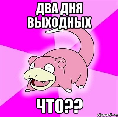 Два дня выходных Что??, Мем слоупок