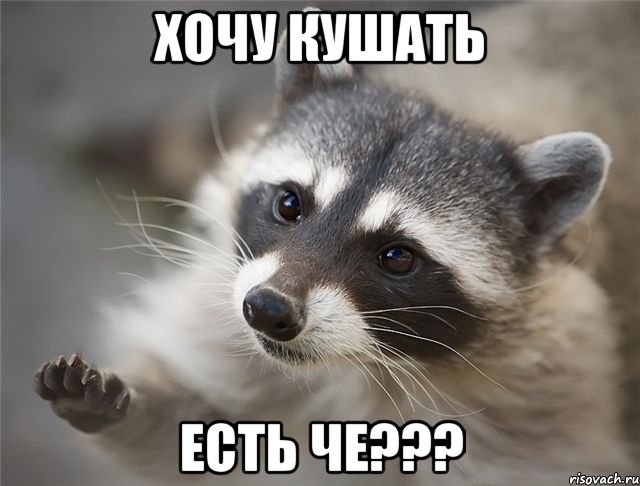 хочу кушать есть че???