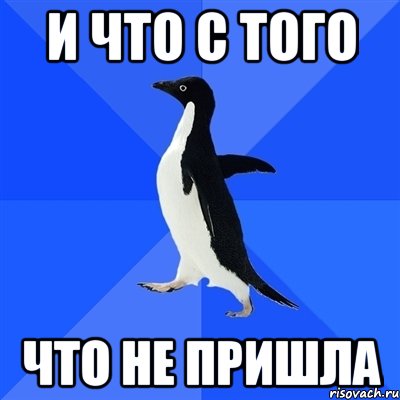 и что с того что не пришла, Мем  Социально-неуклюжий пингвин