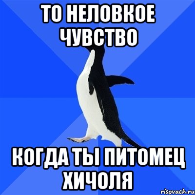 то неловкое чувство когда ты питомец хичоля, Мем  Социально-неуклюжий пингвин