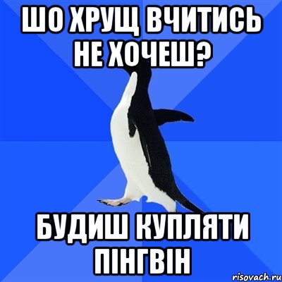 шо хрущ вчитись не хочеш? будиш купляти пінгвін, Мем  Социально-неуклюжий пингвин