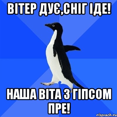 Вітер дує,сніг іде! Наша Віта з гіпсом пре!, Мем  Социально-неуклюжий пингвин