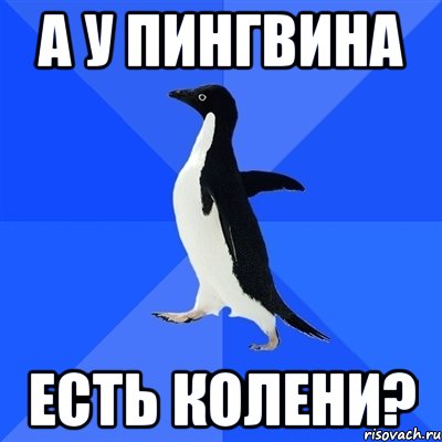 А У ПИНГВИНА ЕСТЬ КОЛЕНИ?, Мем  Социально-неуклюжий пингвин