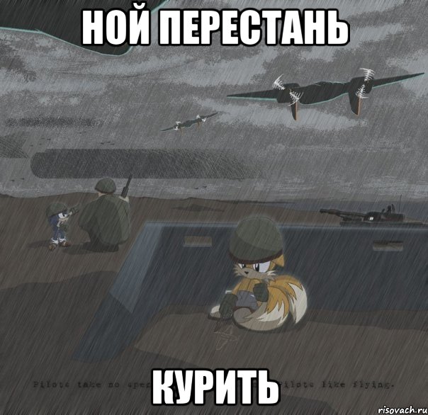 ной перестань курить, Мем соник