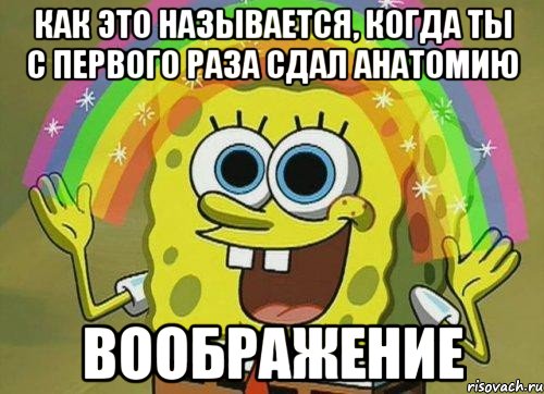 как это называется, когда ты с первого раза сдал анатомию воображение, Мем Воображение (Спанч Боб)