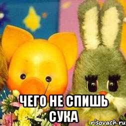  чего не спишь сука
