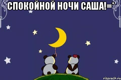 спокойной ночи саша!=* , Мем Спокойной ночи Саша