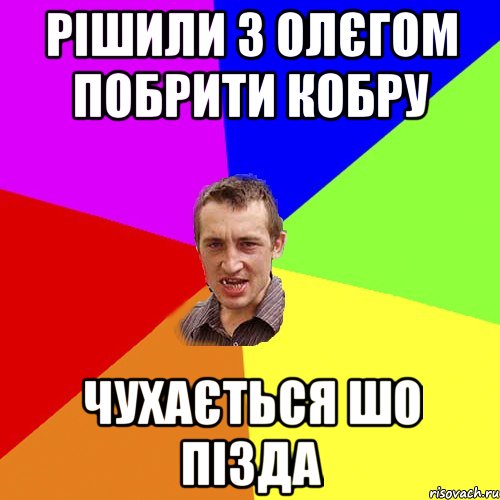 РІШИЛИ З ОЛЄГОМ ПОбрити Кобру чухається шо пізда, Мем Чоткий паца