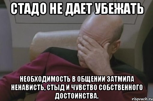 стадо не дает убежать необходимость в общении затмила ненависть, стыд и чувство собственного достоинства.