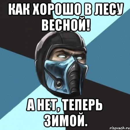 как хорошо в лесу весной! а нет, теперь зимой., Мем Саб-Зиро