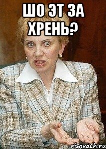 шо эт за хрень? , Мем Судья Егорова