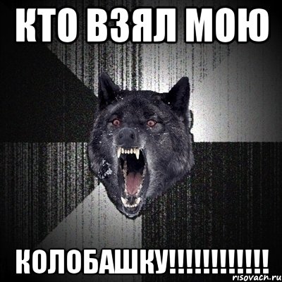 Кто взял мою КОЛОБАШКУ!!!!!!!!!!!!, Мем Сумасшедший волк