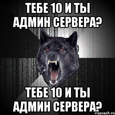 Тебе 10 и ты Админ сервера? Тебе 10 и ты Админ сервера?, Мем Сумасшедший волк