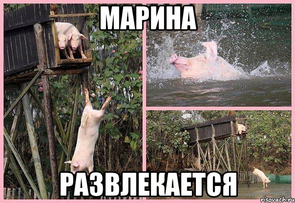 марина развлекается, Мем Свиньи