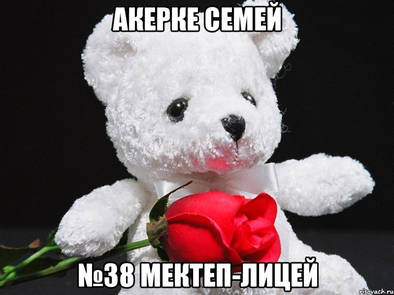 акерке семей №38 мектеп-лицей, Мем This teddy