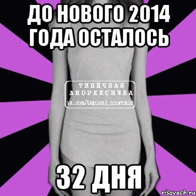 До Нового 2014 Года осталось 32 дня, Мем Типичная анорексичка