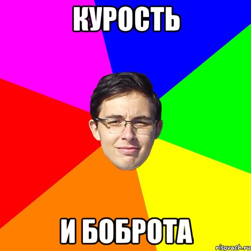 Курость и боброта