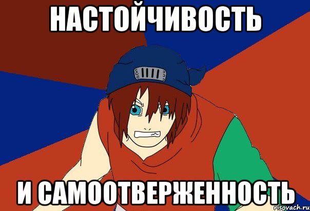 настойчивость и самоотверженность, Мем Типичный нуб-неканон парень