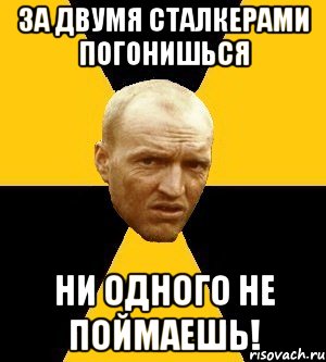 за двумя сталкерами погонишься ни одного не поймаешь!