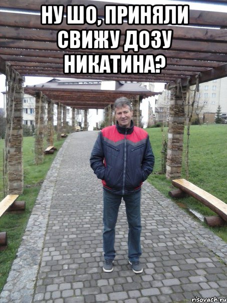 Ну шо, приняли свижу дозу Никатина? 