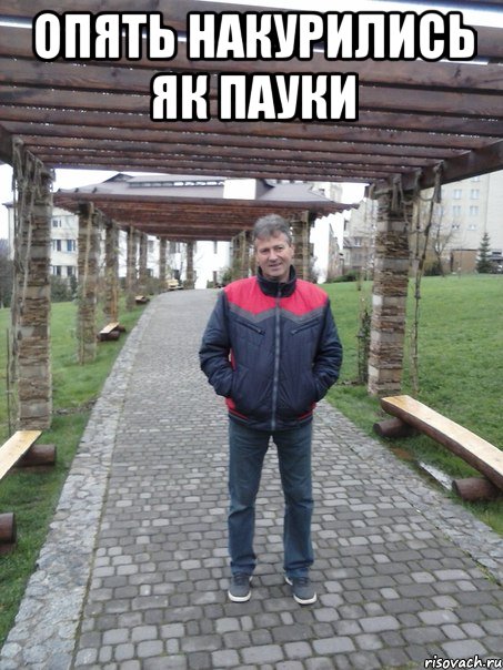 Опять накурились як пауки 