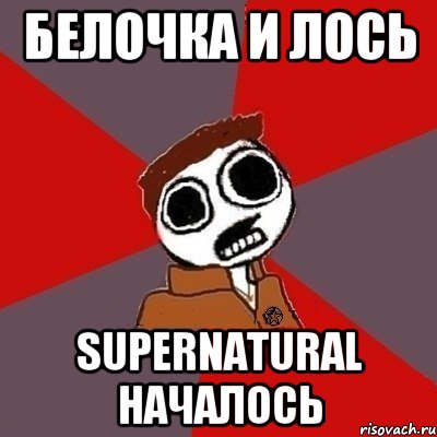 Белочка и лось Supernatural началось