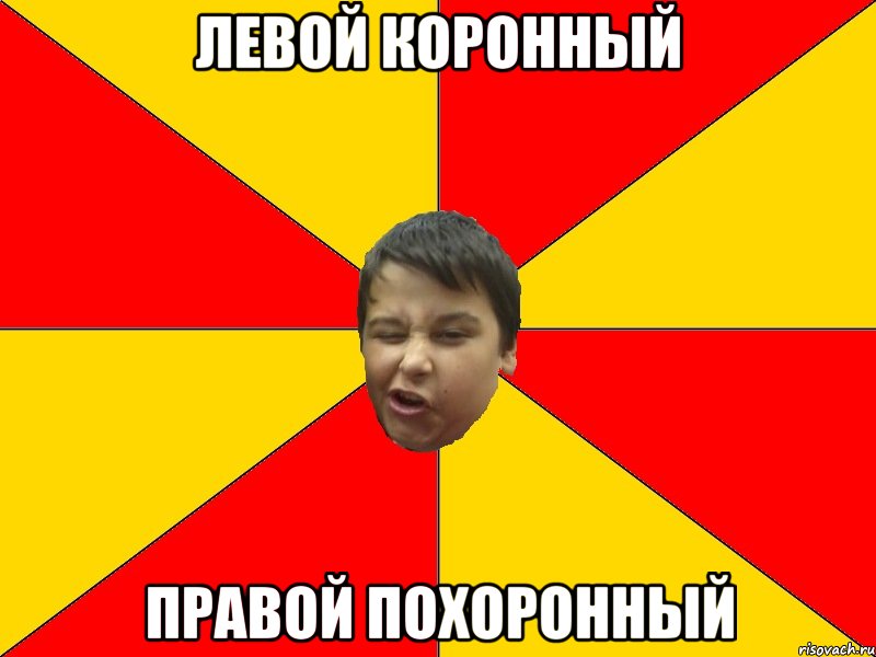 ЛЕВОЙ КОРОННЫЙ ПРАВОЙ ПОХОРОННЫЙ