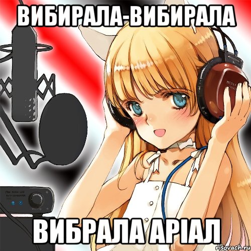 вибирала-вибирала вибрала аріал, Мем Типовий фанвоксвець