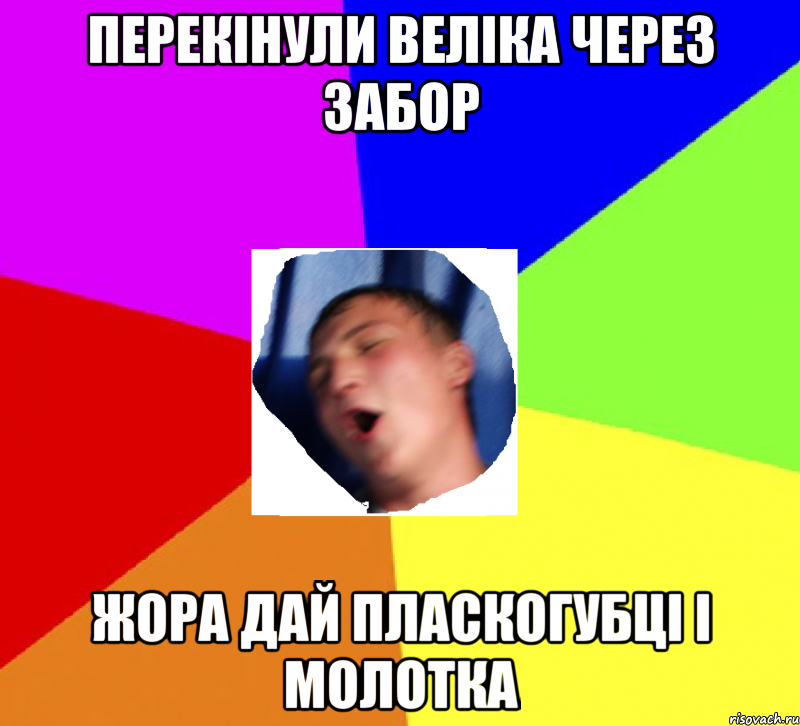 перекінули веліка через забор жора дай пласкогубці і молотка
